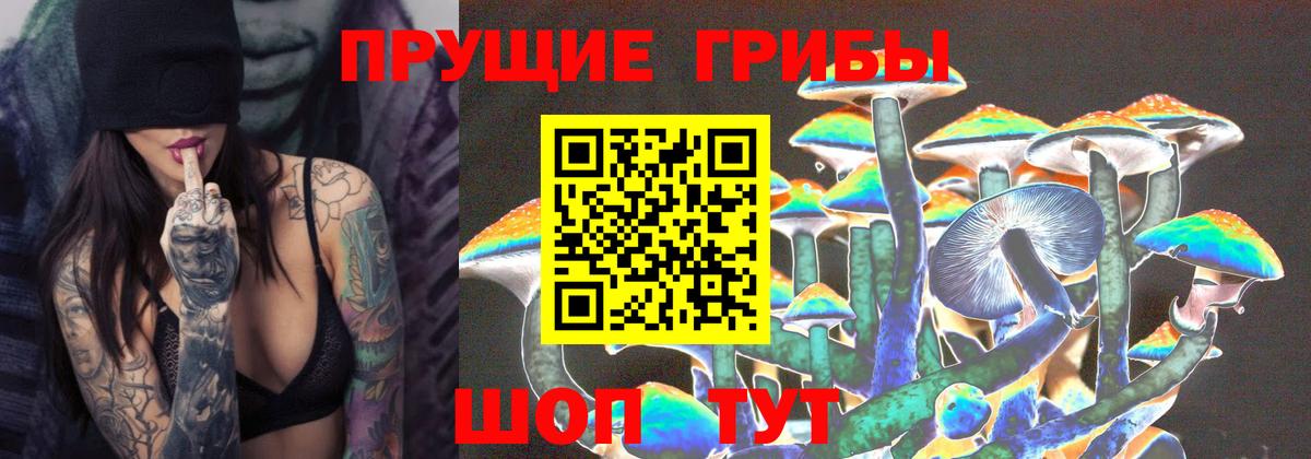 Псилоцибиновые грибы прущие грибы Кондопога