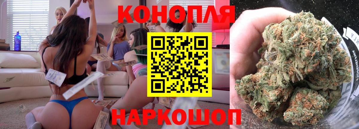 Конопля сатива Кондопога